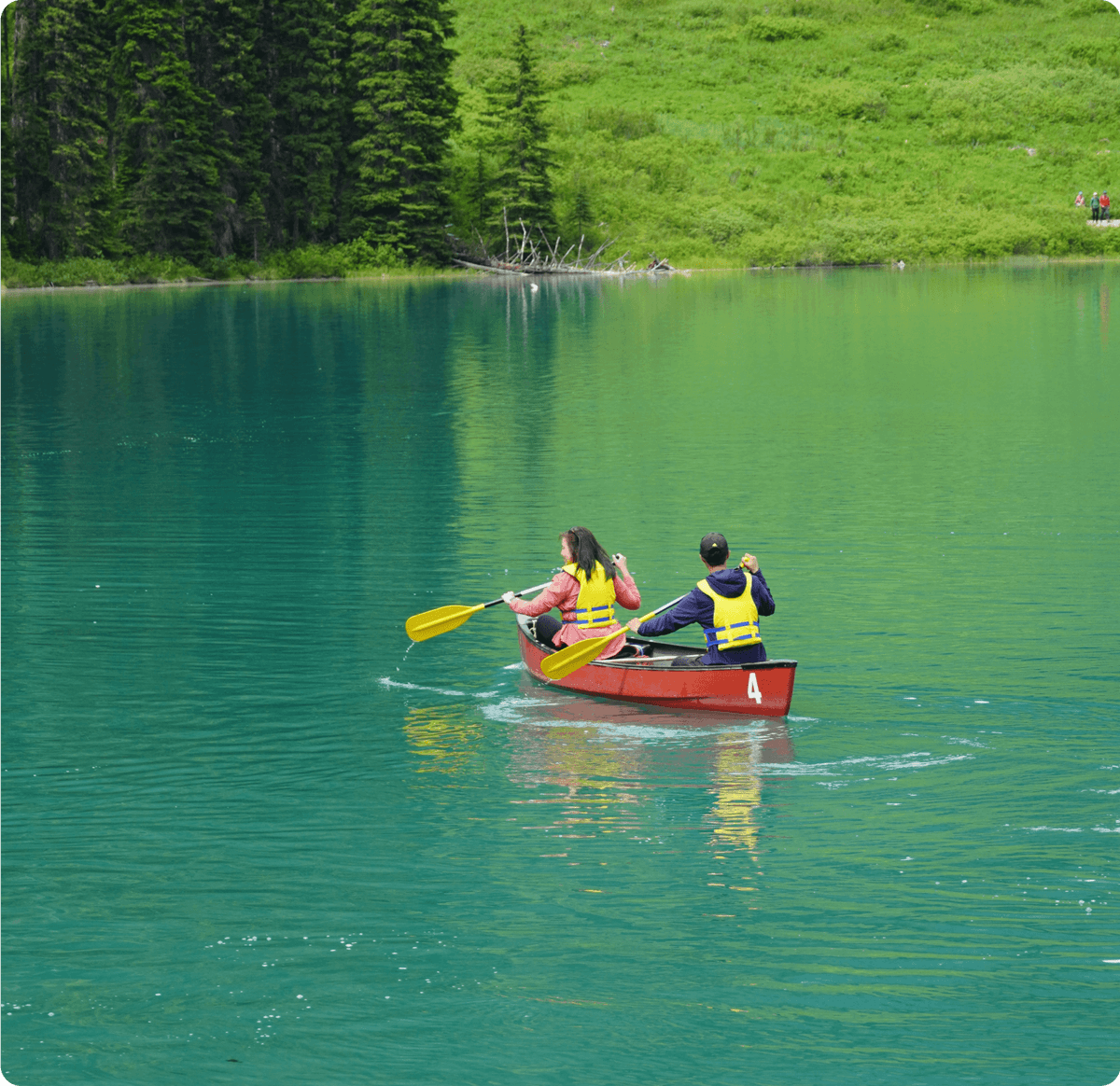 Go Paddle!